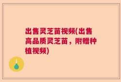 出售灵芝苗视频(出售高品质灵芝苗，附赠种植视频)