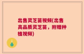 出售灵芝苗视频(出售高品质灵芝苗，附赠种植视频)