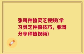 张哥种植灵芝视频(学习灵芝种植技巧，张哥分享种植视频)
