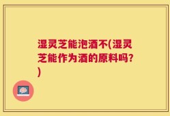 湿灵芝能泡酒不(湿灵芝能作为酒的原料吗？)
