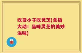 吃货小子吃灵芝(食指大动！品味灵芝的美妙滋味)
