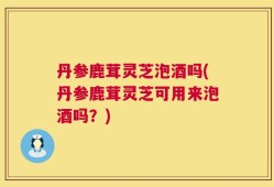 丹参鹿茸灵芝泡酒吗(丹参鹿茸灵芝可用来泡酒吗？)