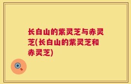 长白山的紫灵芝与赤灵芝(长白山的紫灵芝和赤灵芝)