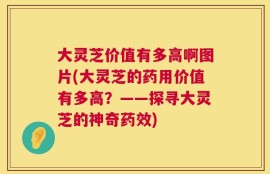 大灵芝价值有多高啊图片(大灵芝的药用价值有多高？——探寻大灵芝的神奇药效)