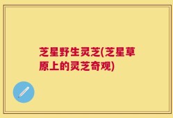 芝星野生灵芝(芝星草原上的灵芝奇观)