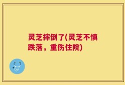灵芝摔倒了(灵芝不慎跌落，重伤住院)