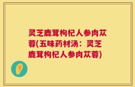 灵芝鹿茸枸杞人参肉苁蓉(五味药材汤：灵芝鹿茸枸杞人参肉苁蓉)