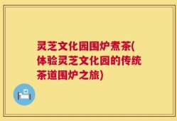 灵芝文化园围炉煮茶(体验灵芝文化园的传统茶道围炉之旅)