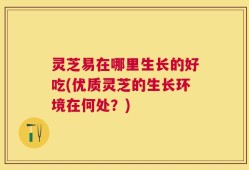 灵芝易在哪里生长的好吃(优质灵芝的生长环境在何处？)