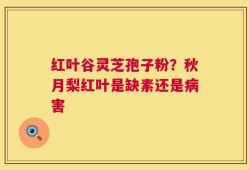 红叶谷灵芝孢子粉？秋月梨红叶是缺素还是病害