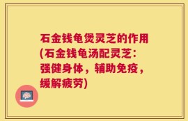 石金钱龟煲灵芝的作用(石金钱龟汤配灵芝：强健身体，辅助免疫，缓解疲劳)