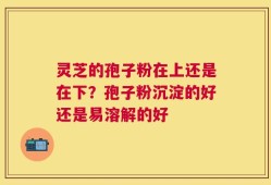 灵芝的孢子粉在上还是在下？孢子粉沉淀的好还是易溶解的好