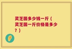灵芝茵多少钱一斤 (灵芝茵一斤价格是多少？)