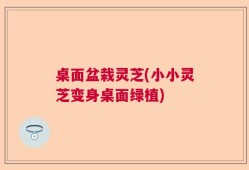 桌面盆栽灵芝(小小灵芝变身桌面绿植)