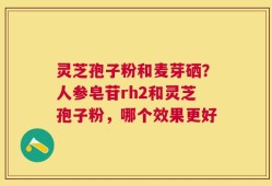 灵芝孢子粉和麦芽硒？人参皂苷rh2和灵芝孢子粉，哪个效果更好