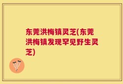 东莞洪梅镇灵芝(东莞洪梅镇发现罕见野生灵芝)