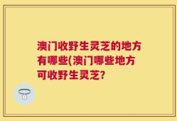 澳门收野生灵芝的地方有哪些(澳门哪些地方可收野生灵芝？