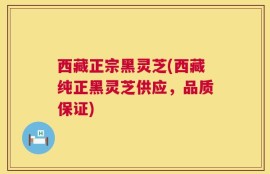 西藏正宗黑灵芝(西藏纯正黑灵芝供应，品质保证)