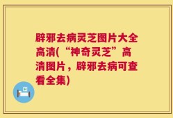 辟邪去病灵芝图片大全高清(“神奇灵芝”高清图片，辟邪去病可查看全集)