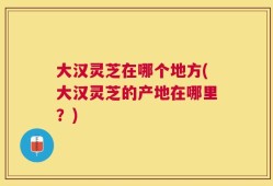 大汉灵芝在哪个地方(大汉灵芝的产地在哪里？)