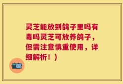 灵芝能放到鸽子里吗有毒吗灵芝可放养鸽子，但需注意慎重使用，详细解析！)