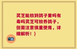 灵芝能放到鸽子里吗有毒吗灵芝可放养鸽子，但需注意慎重使用，详细解析！)