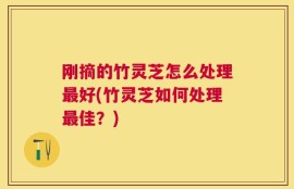 刚摘的竹灵芝怎么处理最好(竹灵芝如何处理最佳？)