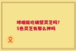 哮喘能吃破壁灵芝吗？5色灵芝有那么神吗