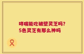 哮喘能吃破壁灵芝吗？5色灵芝有那么神吗