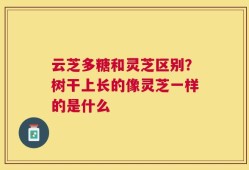 云芝多糖和灵芝区别？树干上长的像灵芝一样的是什么