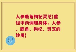 人参鹿角枸杞灵芝(重组中药调理身体，人参、鹿角、枸杞、灵芝的妙用)