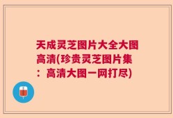 天成灵芝图片大全大图高清(珍贵灵芝图片集：高清大图一网打尽)