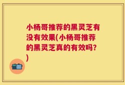 小杨哥推荐的黑灵芝有没有效果(小杨哥推荐的黑灵芝真的有效吗？)
