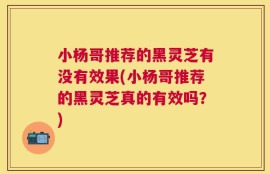 小杨哥推荐的黑灵芝有没有效果(小杨哥推荐的黑灵芝真的有效吗？)