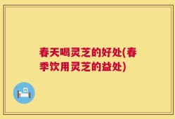春天喝灵芝的好处(春季饮用灵芝的益处)