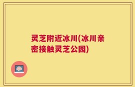 灵芝附近冰川(冰川亲密接触灵芝公园)