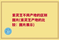 紫灵芝不同产地的区别图片(紫灵芝产地的比较：图片展示)