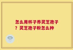 怎么用杯子养灵芝孢子？灵芝孢子粉怎么种
