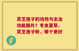 灵芝孢子的功效与主治功能图片？冬虫夏草、灵芝孢子粉，哪个更好