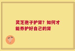 灵芝孢子护肾？如何才能养护好自己的肾