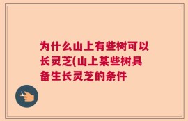 为什么山上有些树可以长灵芝(山上某些树具备生长灵芝的条件