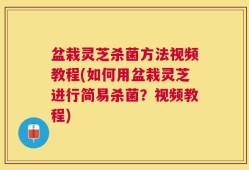 盆栽灵芝杀菌方法视频教程(如何用盆栽灵芝进行简易杀菌？视频教程)