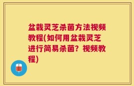 盆栽灵芝杀菌方法视频教程(如何用盆栽灵芝进行简易杀菌？视频教程)