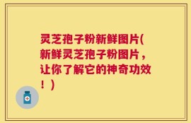 灵芝孢子粉新鲜图片(新鲜灵芝孢子粉图片，让你了解它的神奇功效！)