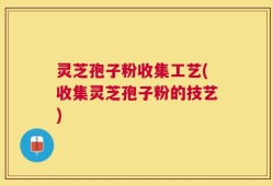 灵芝孢子粉收集工艺(收集灵芝孢子粉的技艺)