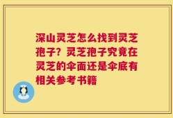 深山灵芝怎么找到灵芝孢子？灵芝孢子究竟在灵芝的伞面还是伞底有相关参考书籍
