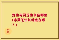 野生赤灵芝生长在哪里(赤灵芝生长地点在哪？)