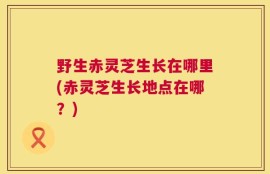 野生赤灵芝生长在哪里(赤灵芝生长地点在哪？)