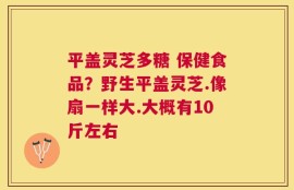 平盖灵芝多糖 保健食品？野生平盖灵芝.像扇一样大.大概有10斤左右