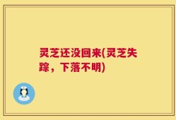 灵芝还没回来(灵芝失踪，下落不明)